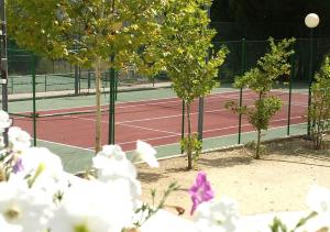 a tennis court with trees on a tennis court at Camping El Canto la Gallina in Valdemaqueda