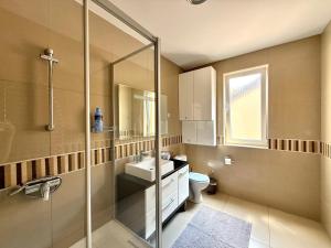 a bathroom with a shower and a sink and a toilet at Apart Mi in Novi Sad