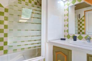 a bathroom with a sink and a shower at L'Appartement des Trois Vallées in Villelongue +14 photos
