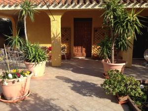 un patio con palmeras y plantas en macetas grandes en Acquamarina B&B, en La Maddalena