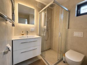 a bathroom with a shower and a toilet and a sink at Pirtelių resort - Pilkasis namelis in Kiauleikiai +9 photos