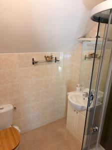 a bathroom with a toilet and a sink at The Cherries Houehdeu in Naizin +17 photos