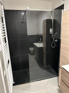 a bathroom with a shower with a sink and a toilet at Sole e Luna in Lonato