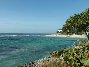 a view of a beach with trees and the ocean at Apartment With Swimming Pool close to Beach in La Romana