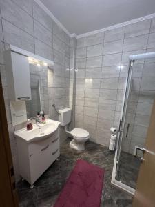 a bathroom with a sink and a toilet and a shower at Apartman Vera in Sušćepan