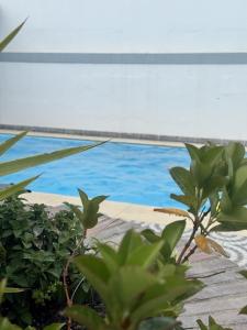 a view of the pool from the house at Morada da Vovó Alda in Almeirim