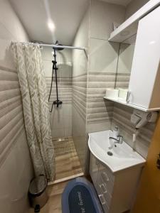a small bathroom with a toilet and a sink at Studio Apartman Tea, Žabljak in Žabljak