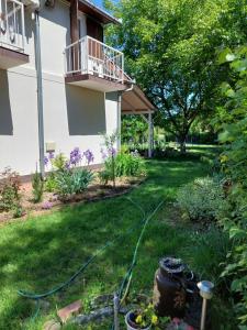 a yard with a fire hydrant in the grass at Anna-lak in Gyula +5 photos