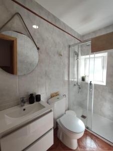 a bathroom with a toilet and a shower and a sink at El cielo de Béjar, casa rural in Béjar +39 photos