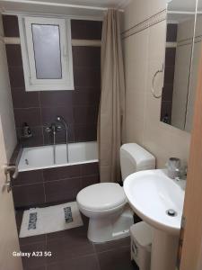 a bathroom with a white toilet and a sink at Menidi Apartment 101 in Menídion