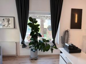 a room with a plant in a vase in front of a window at Wohnstudio Millstatt in Millstatt
