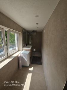 a bathroom with a toilet and a sink and a window at Schneiders Apartment Style House in Trunkelsberg
