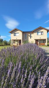 a house with a lavender field in front of it at Jardín de Estepa in Dina Huapi