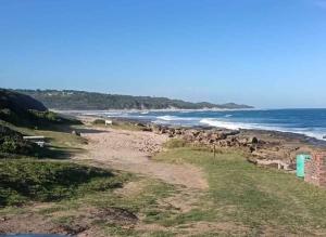 a herd of animals walking along a beach at Kayser's Keep Self-Catering in Kayserʼs Beach