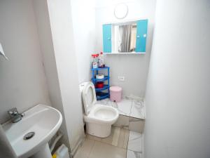 a small bathroom with a toilet and a sink at Vila Muca in Peshkopi +48 photos