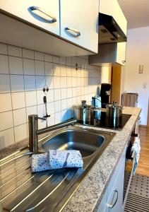 a kitchen with a stainless steel sink in a kitchen at LechBrugger Berg Appartements in Holzgau +18 photos