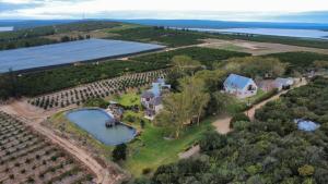 an aerial view of a estate with a lake and vineyards at Addo Dung Beetle Guest Farm in Addo
