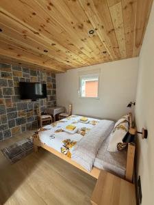a bedroom with a bed and a tv in a room at Studio Apartman Tea, Žabljak in Žabljak