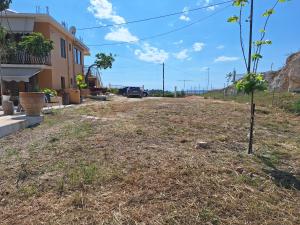a small tree in a yard next to a house at LASSI Apartment 1 in Argostoli