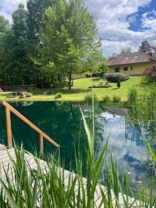 a pond in the backyard of a house at Landhaus Wulfenia - APARTMENT KLAGENFURT - Private Sauna, Smart-TV, Air Conditioning, Free Parking in Klagenfurt