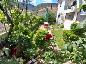 a garden with roses and other plants and a building at Vila Ansi Klean in Udënisht +66 photos