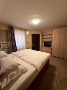 a large bedroom with two beds and a television at Tkalča Room 22 in Zagreb