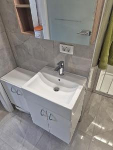 a bathroom with a white sink and a mirror at Garsonjera Alina in Zgornje Gameljne