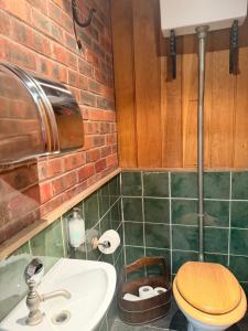 a bathroom with a toilet and a sink at Cwt Ieir in Ruthin