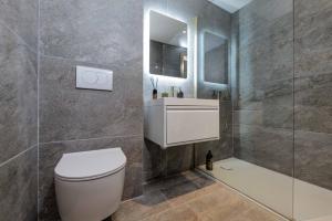 a bathroom with a toilet and a sink and a mirror at Maison entière à 100m de la mer in Antibes