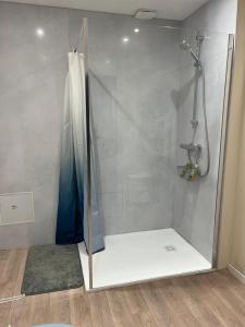 a shower with a glass door in a bathroom at Le pré des noisettes in Angomont +44 photos
