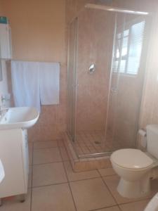 a bathroom with a shower and a toilet and a sink at Buliso Homestay in Amsterdamhoek