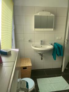 a bathroom with a sink and a toilet at Haus Else am Nationalpark Eifel in Schleiden +19 photos