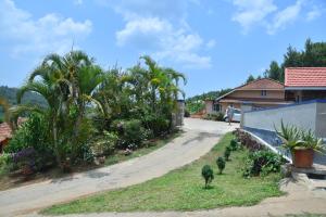 a dirt road with palm trees and a house at Hillwoods homestay in Somvārpet