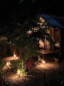 a garden with lights in front of a house at night at Ancestra black ecolodge in Nuquí