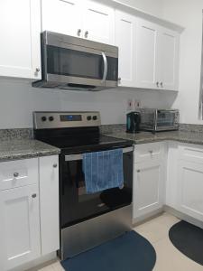 a kitchen with a stove and a microwave at Kingston Condo with Rooftop Pool & Gazebo in Kingston