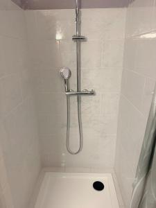 a shower with a shower head in a bathroom at Bleu Caraibe studio in Schœlcher +23 photos