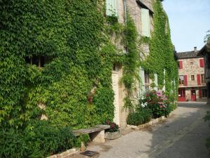 a ivy covered building with a bench next to a street at Chez Julia in Puycelci