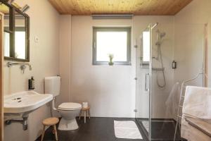 a bathroom with a toilet and a sink and a shower at St Barbara Hideaway in Škofja Loka