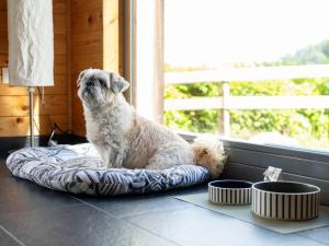 a dog sitting on a dog bed in front of a window at St Barbara Hideaway in Škofja Loka +19 photos