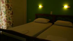 2 Betten in einem Zimmer mit grünen Wänden und Beleuchtung in der Unterkunft Kogeros in Agios Georgios Pagon