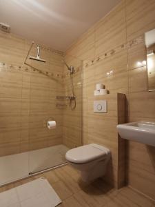 a bathroom with a shower and a toilet and a sink at Noclegi u Gosi w Polańczyku in Polańczyk +10 photos