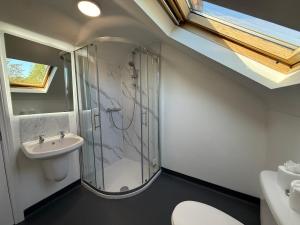 a bathroom with a shower and a sink at All Seasons Guesthouse in Belfast