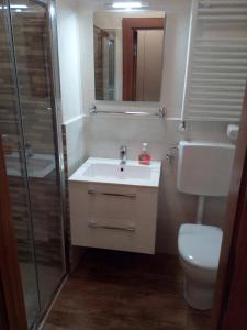 a bathroom with a toilet and a sink and a shower at Cielo Alto Studio Apartment with wifi in Breuil-Cervinia