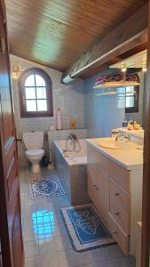 a bathroom with a tub and a toilet and a sink at Chez tatie Jacqueline in Albi +24 photos