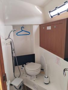 a bathroom with a toilet and a shower at Spend a night on a Sailing Boat in Saltvik +9 photos