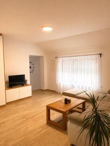a living room with a couch and a table at Apartma Arbores in Sveti Jurij ob Ščavnici