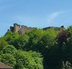a castle on top of a hill with trees at Urban Jungle Experience Hyper Centre Gare in Épinal +4 photos