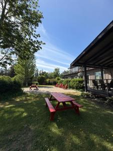 a picnic table in the grass next to a building at Kiwi Cove Lodge in Ladysmith