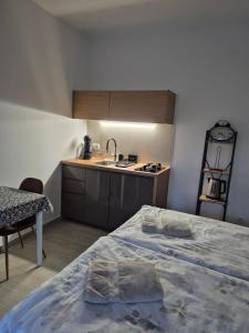 a bedroom with a bed and a sink and a kitchen at Studio apartman Fabi in Novigrad Istria