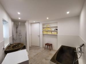 a bathroom with a sink and a toilet and a shower at Apartment FreiRaum in Innsbruck +44 photos